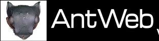 AntWeb