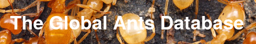 Global Ants Database